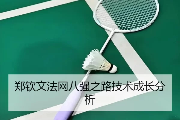 郑钦文法网八强之路技术成长分析